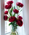 Red Peonies