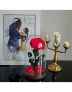 Роза в колбе - купить вечную розу в стеклянной колбе в Ереване