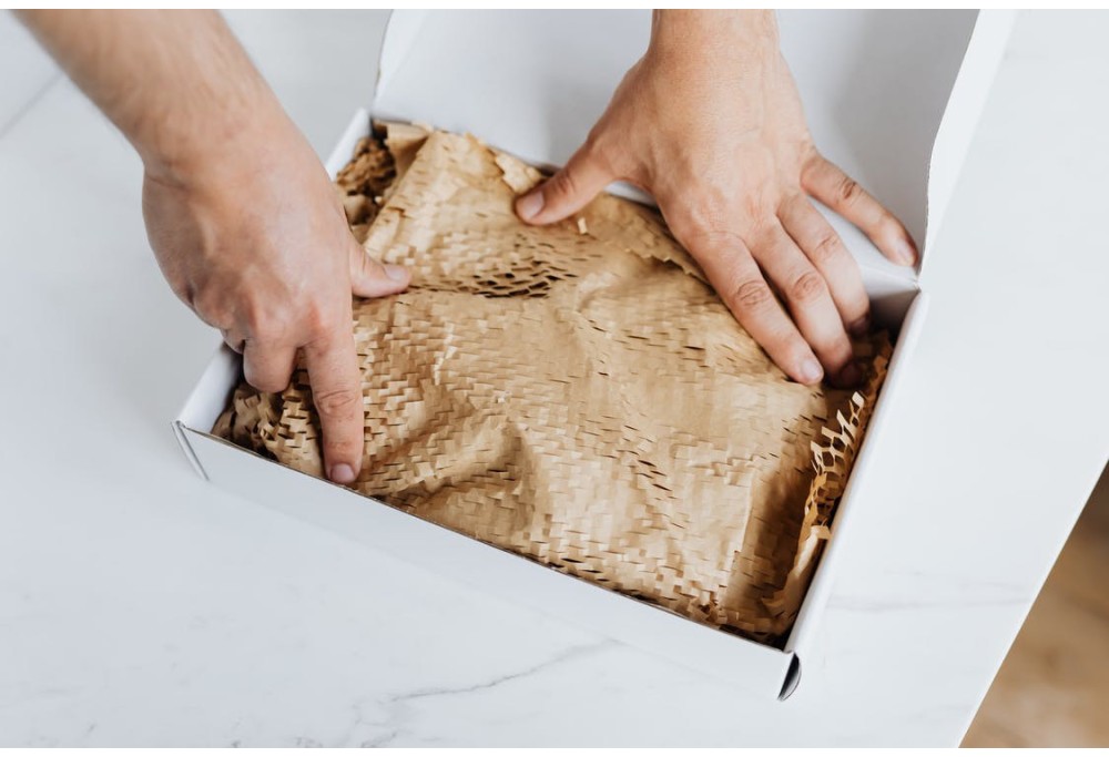 Urna pretium elit mauris cursus Curabitur at elit Vestibulum