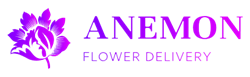 Anemon Flower Salon